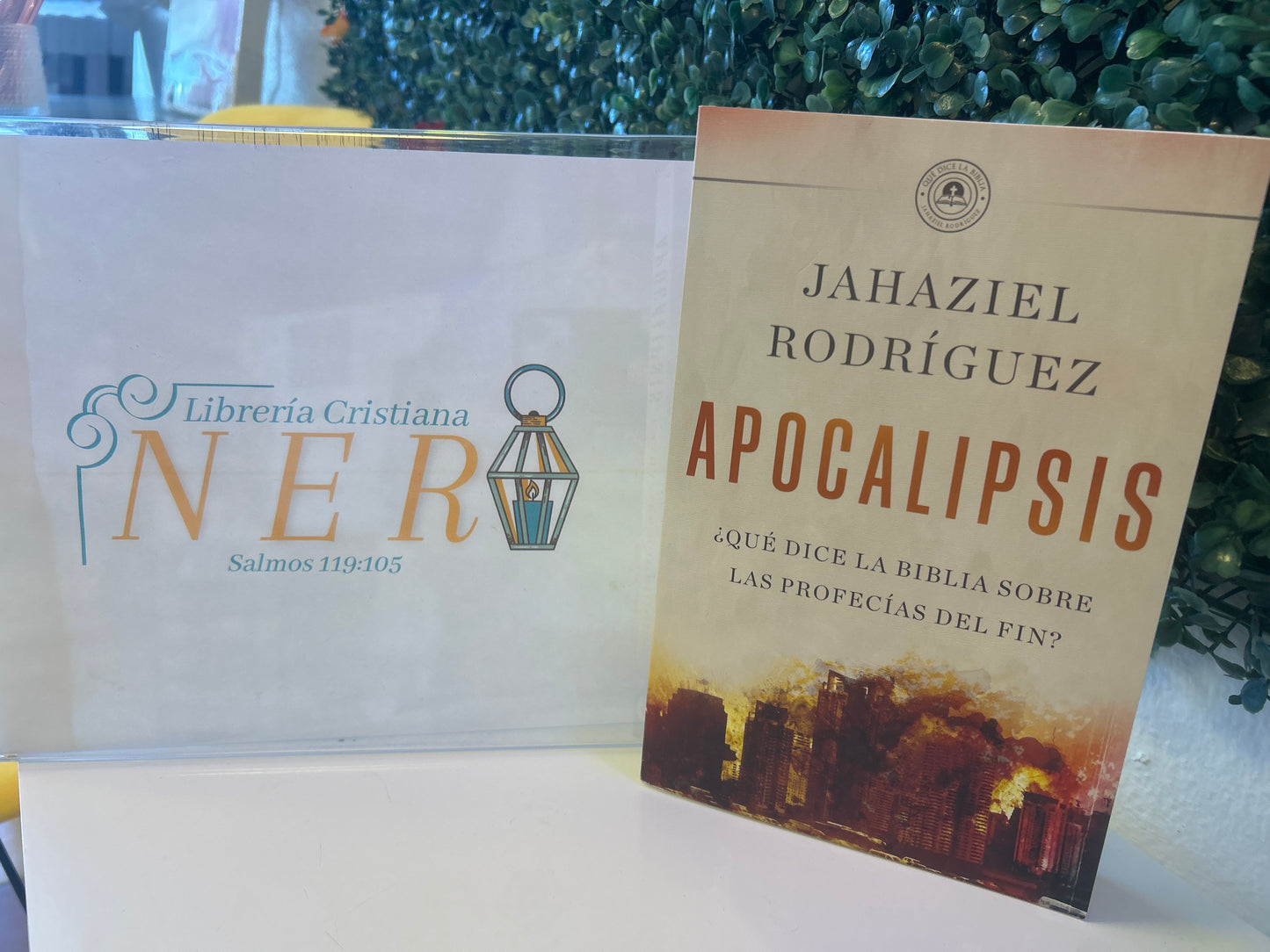 Apocalipsis ¿Qué dice la Biblia sobre las Profecías del Fin?