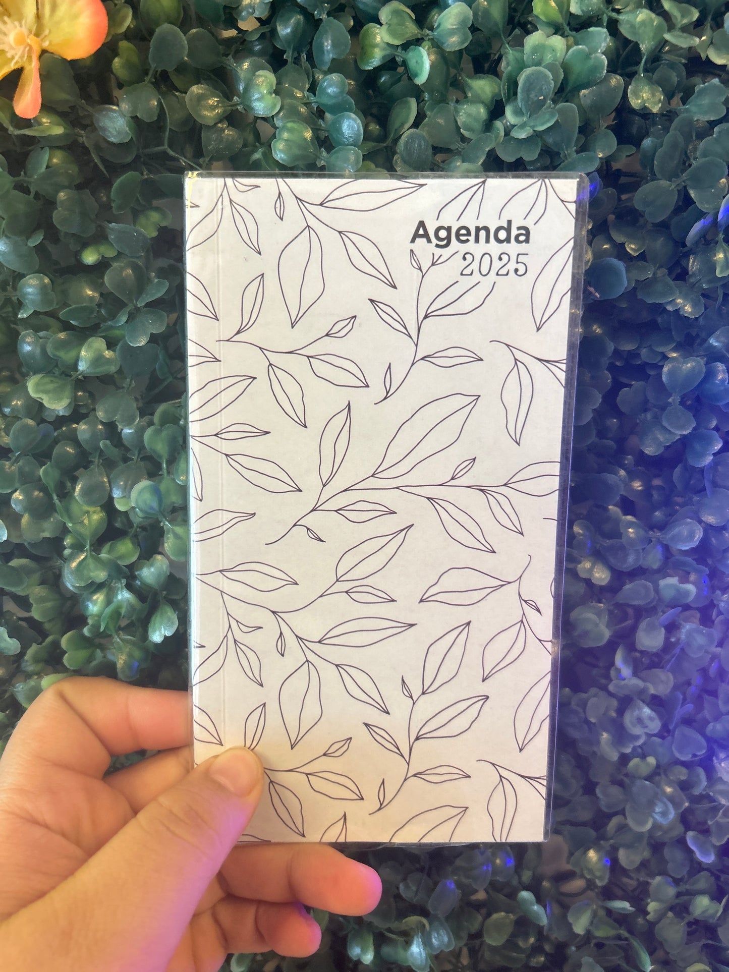 Agenda Pocket 2025