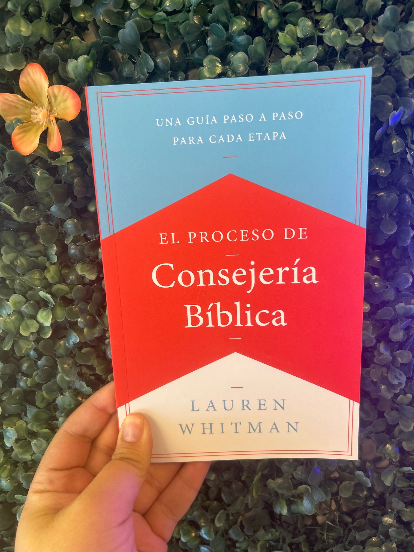 El proceso de las Consejería Bíblica Lauren Whitman