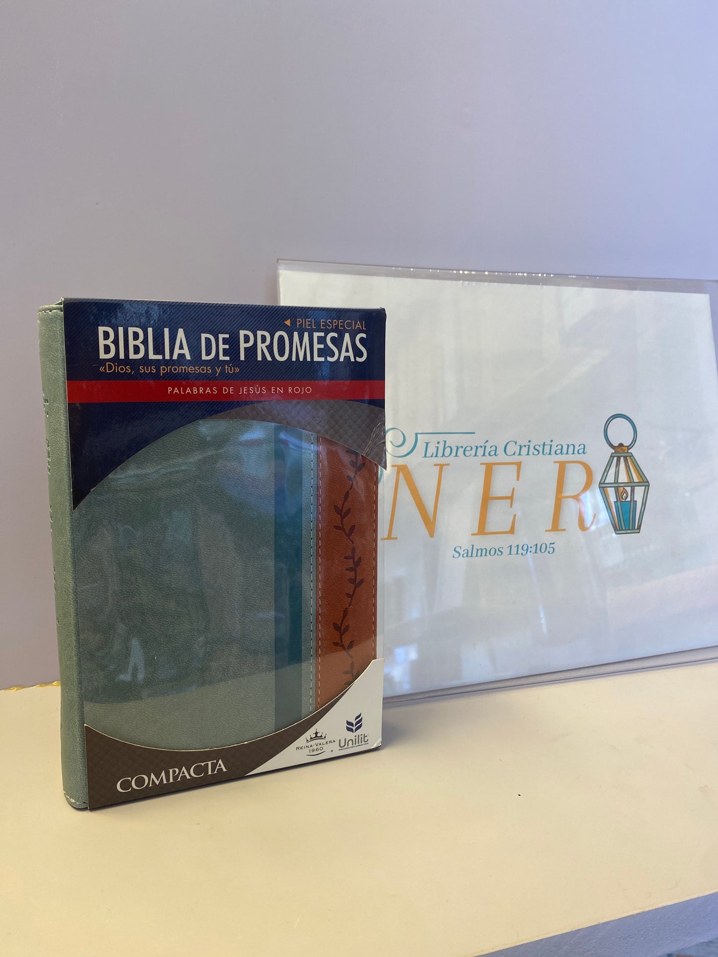 Biblia de Promesas