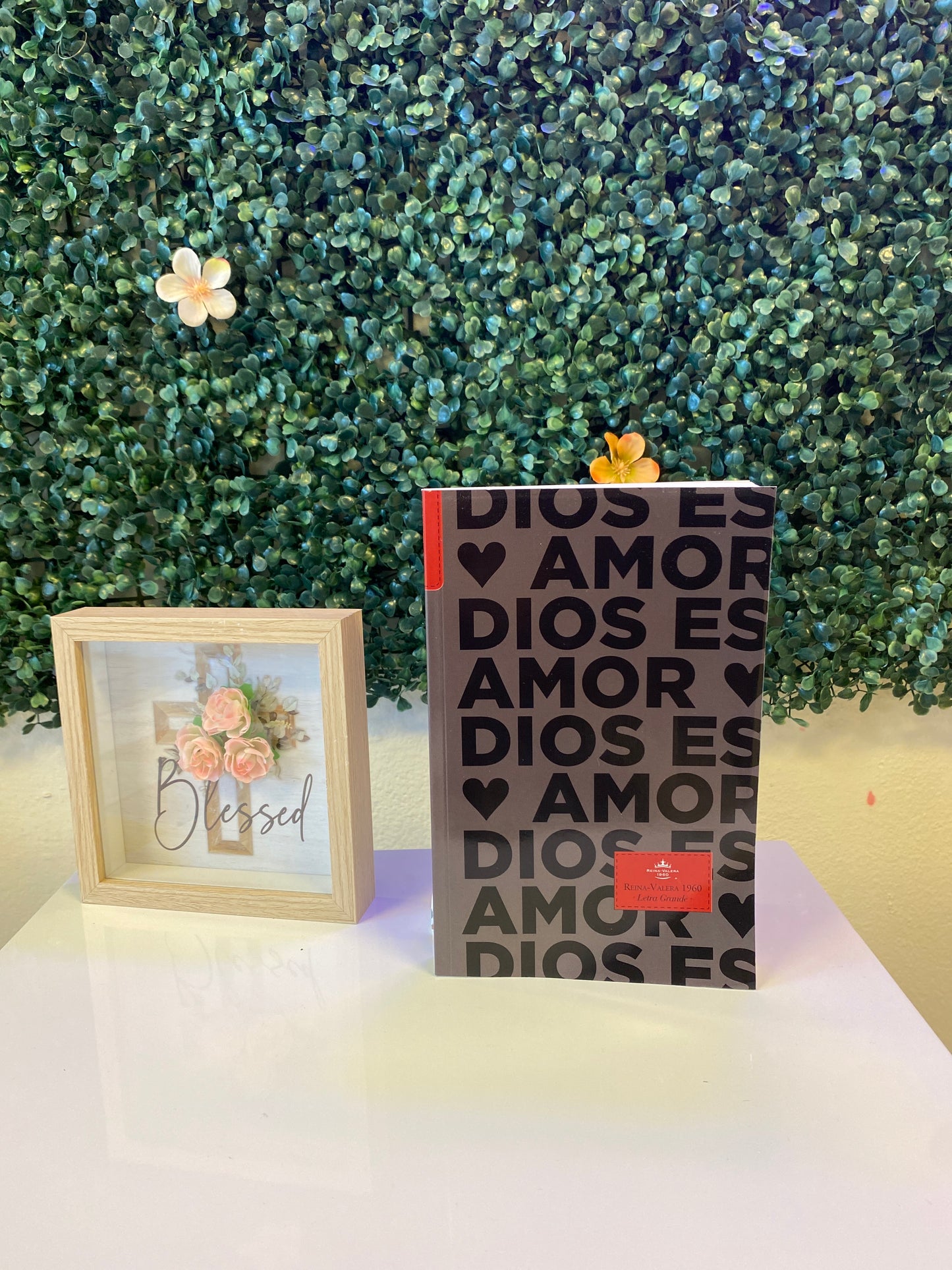Biblia Dios es amor