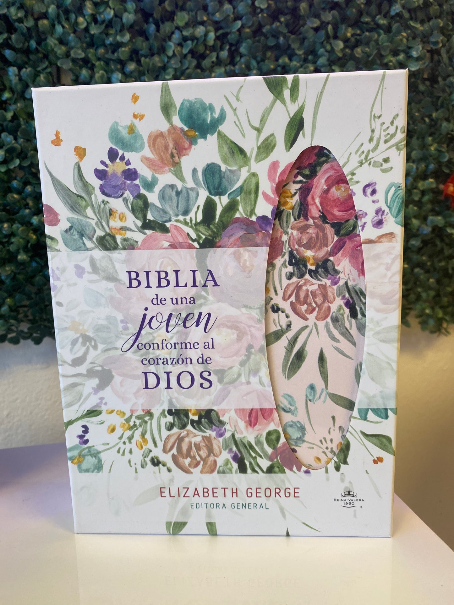 Biblia de una Joven conforme al Corazón de Dios