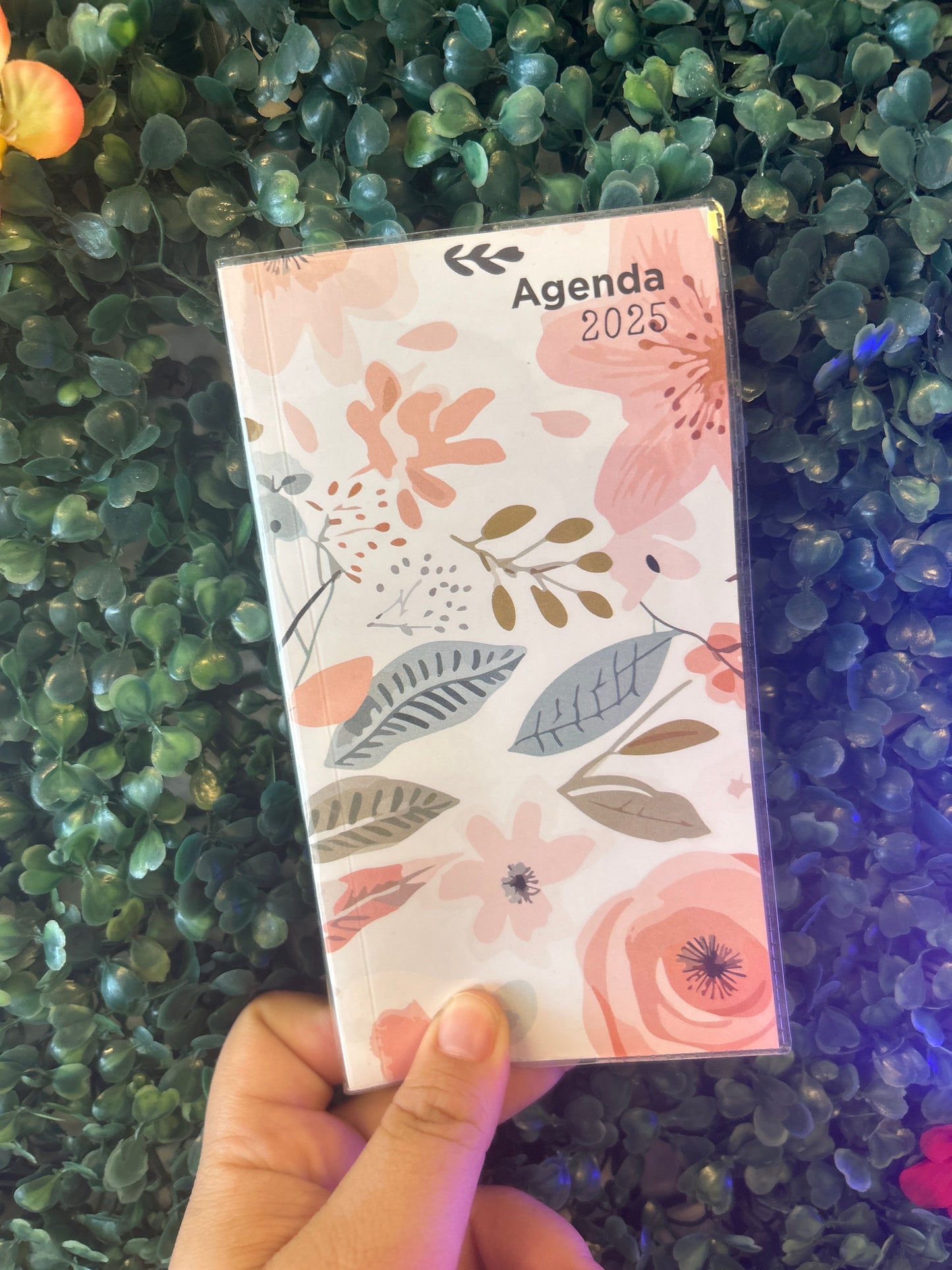 Agenda Pocket 2025