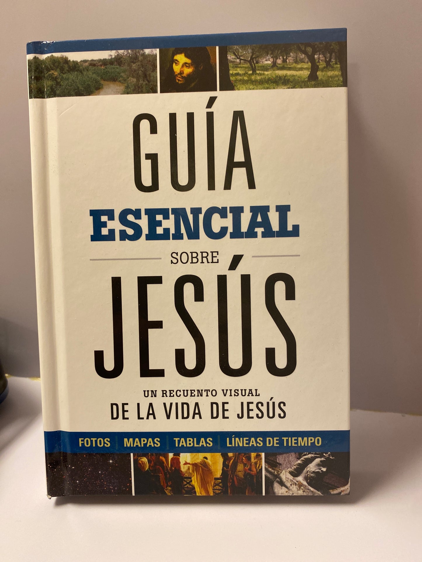 Guía Esencial Sobre Jesús