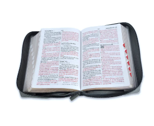 Biblia con silueta de León
