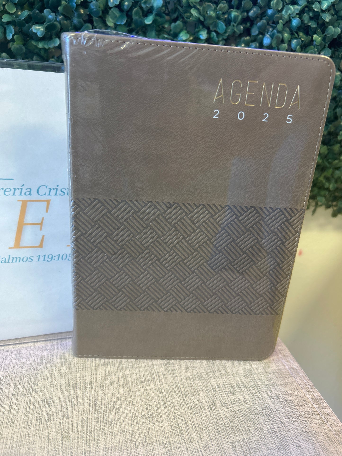 Agenda 2025