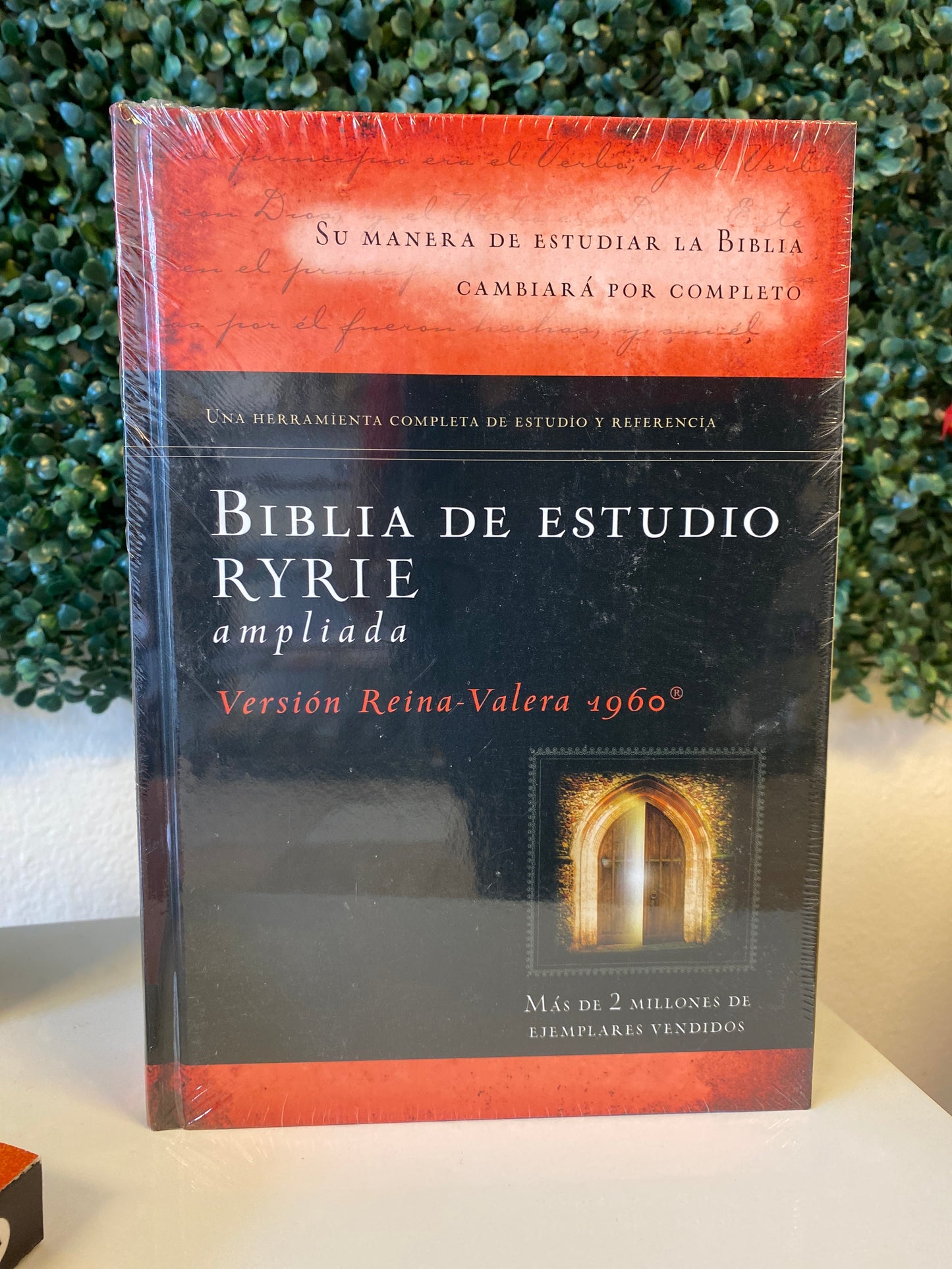 Biblia de Estudio RYRIE Ampliada