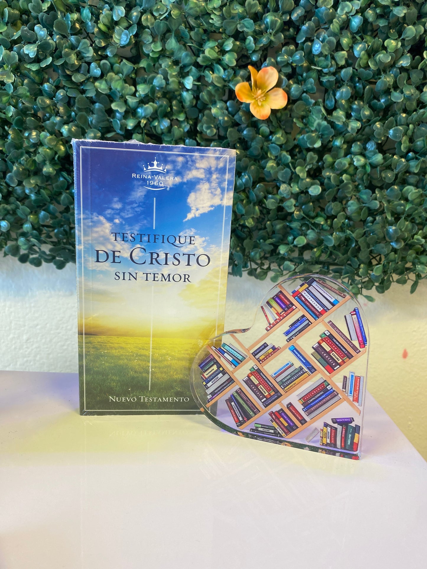 Testifique de Cristo Sin Temor Nuevo Testamento