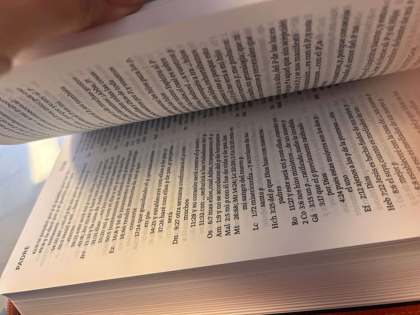 Santa Biblia Letra Súper Gigante