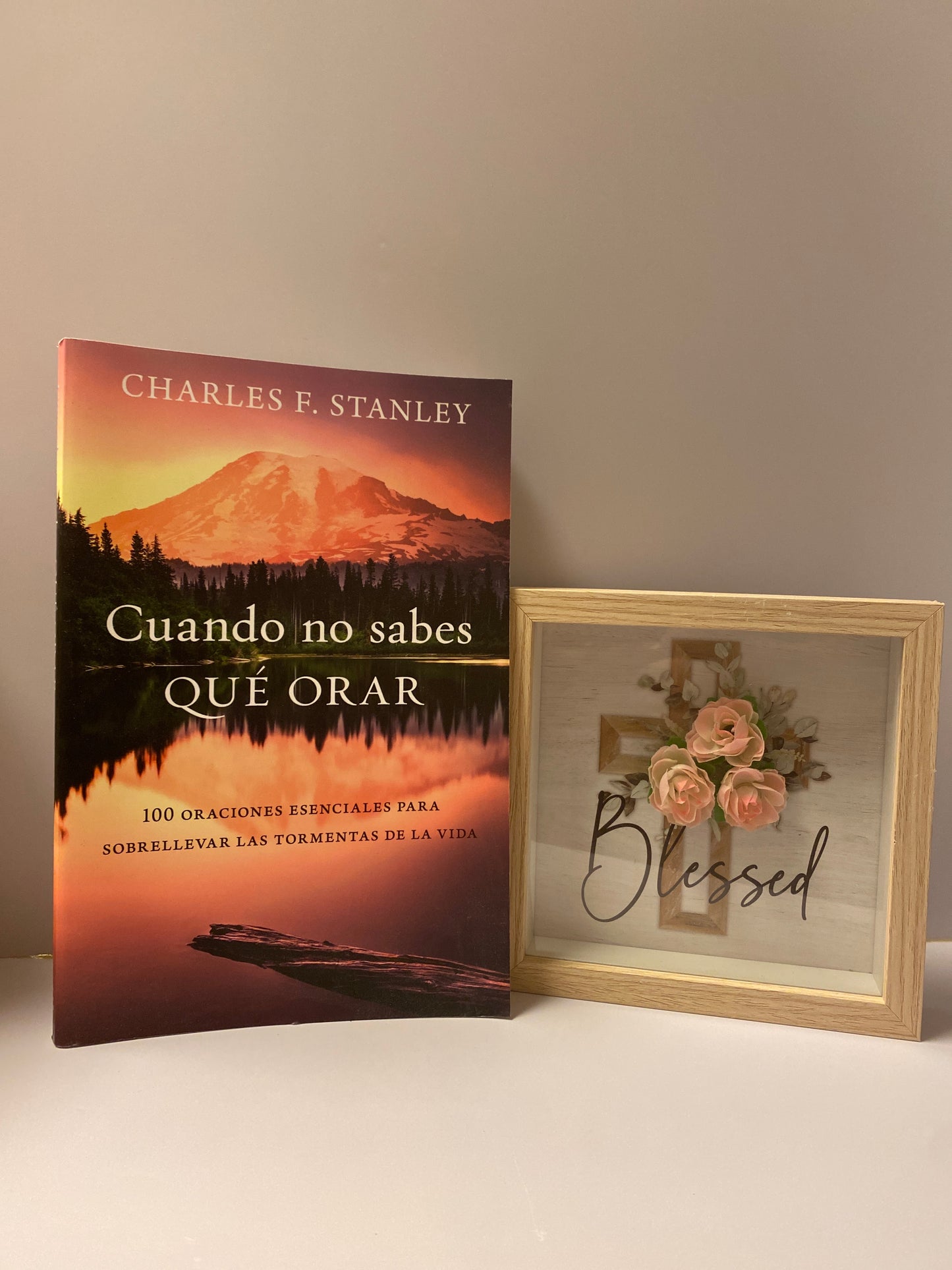 Cuando no Sabes Qué Orar Charles F. Stanley