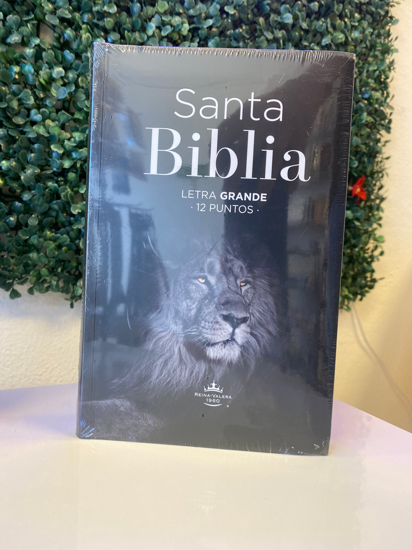 Santa Biblia Letra Grande 12 Puntos