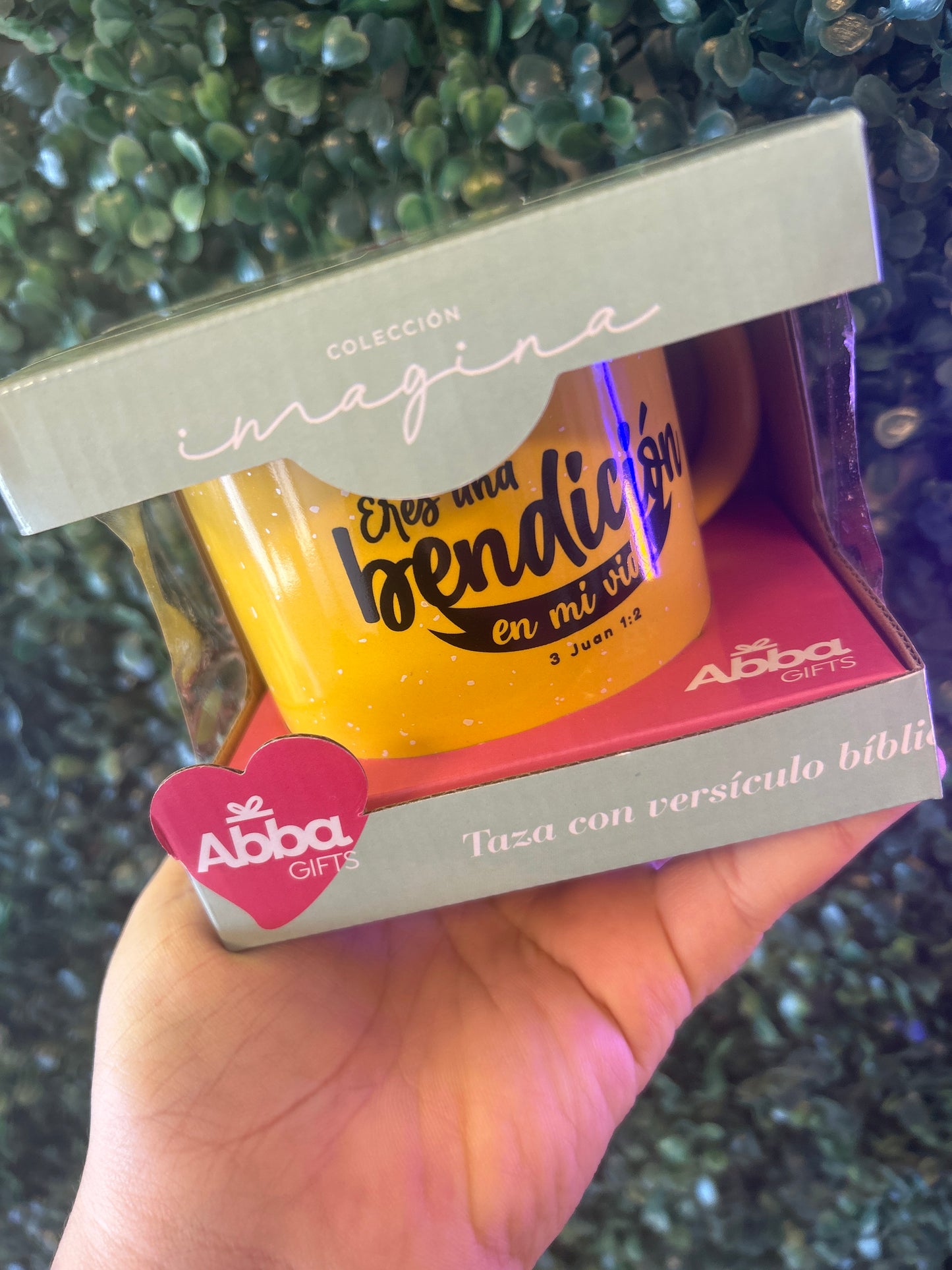 Tazas Abba Gifts