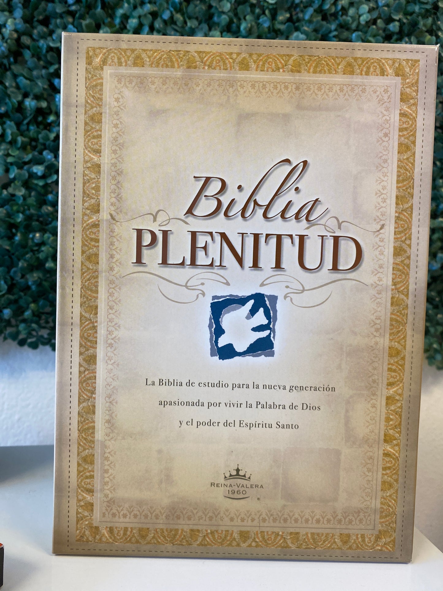 Biblia Plenitud
