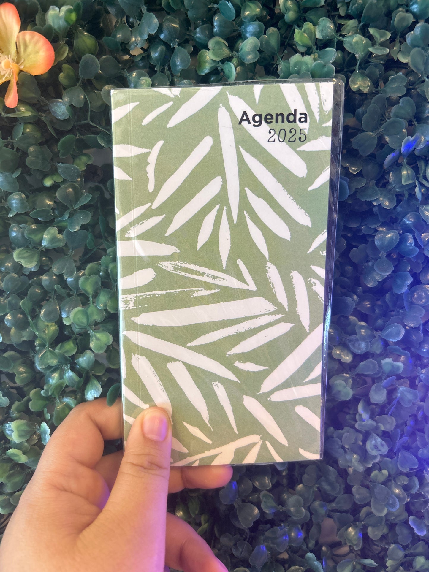 Agenda Pocket 2025