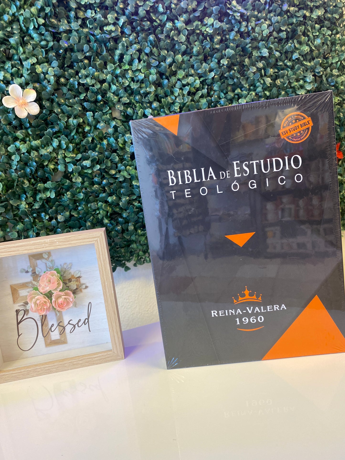Biblia de Estudio Teológico