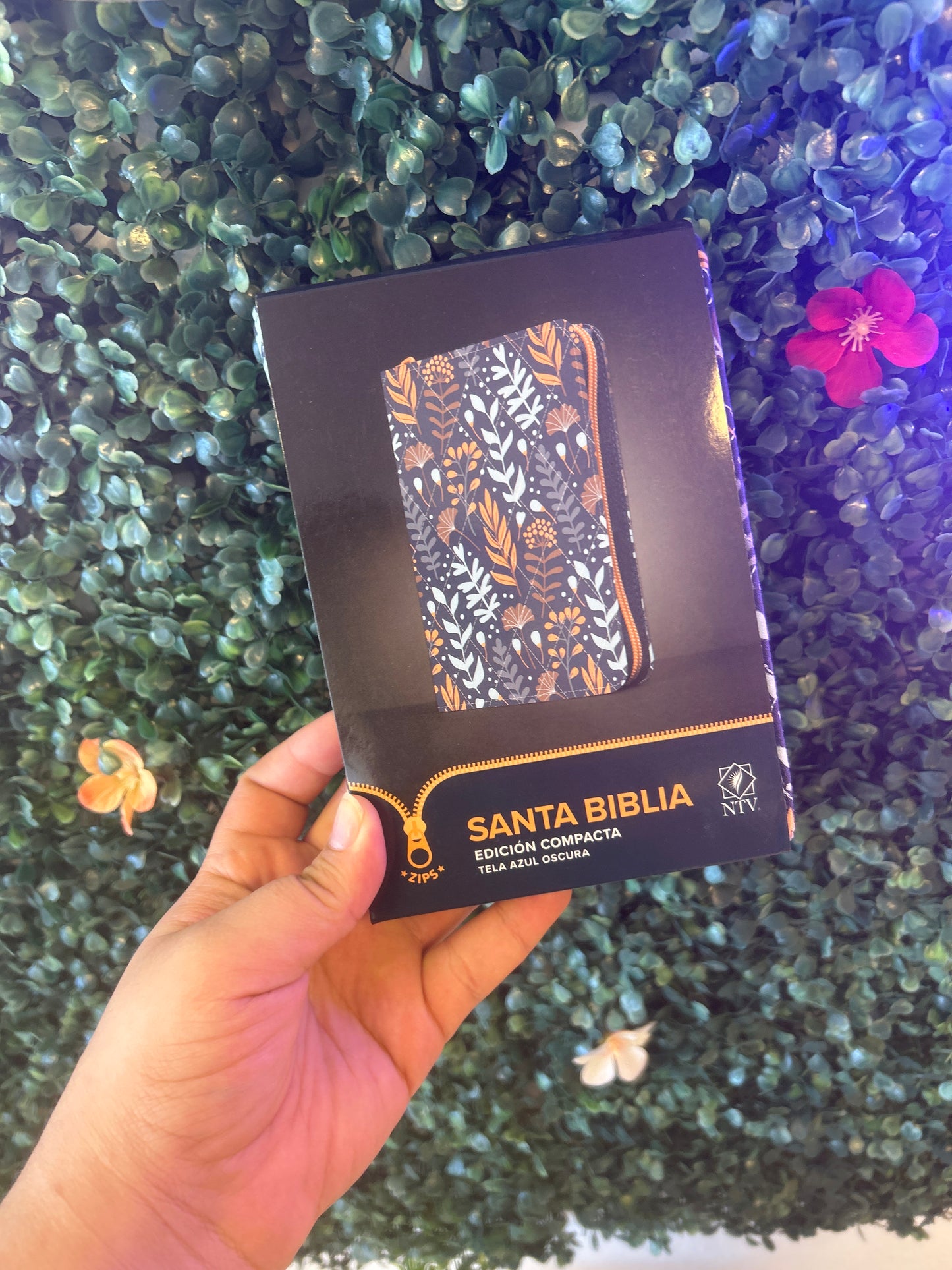 Santa Biblia Edición Compacta NTV