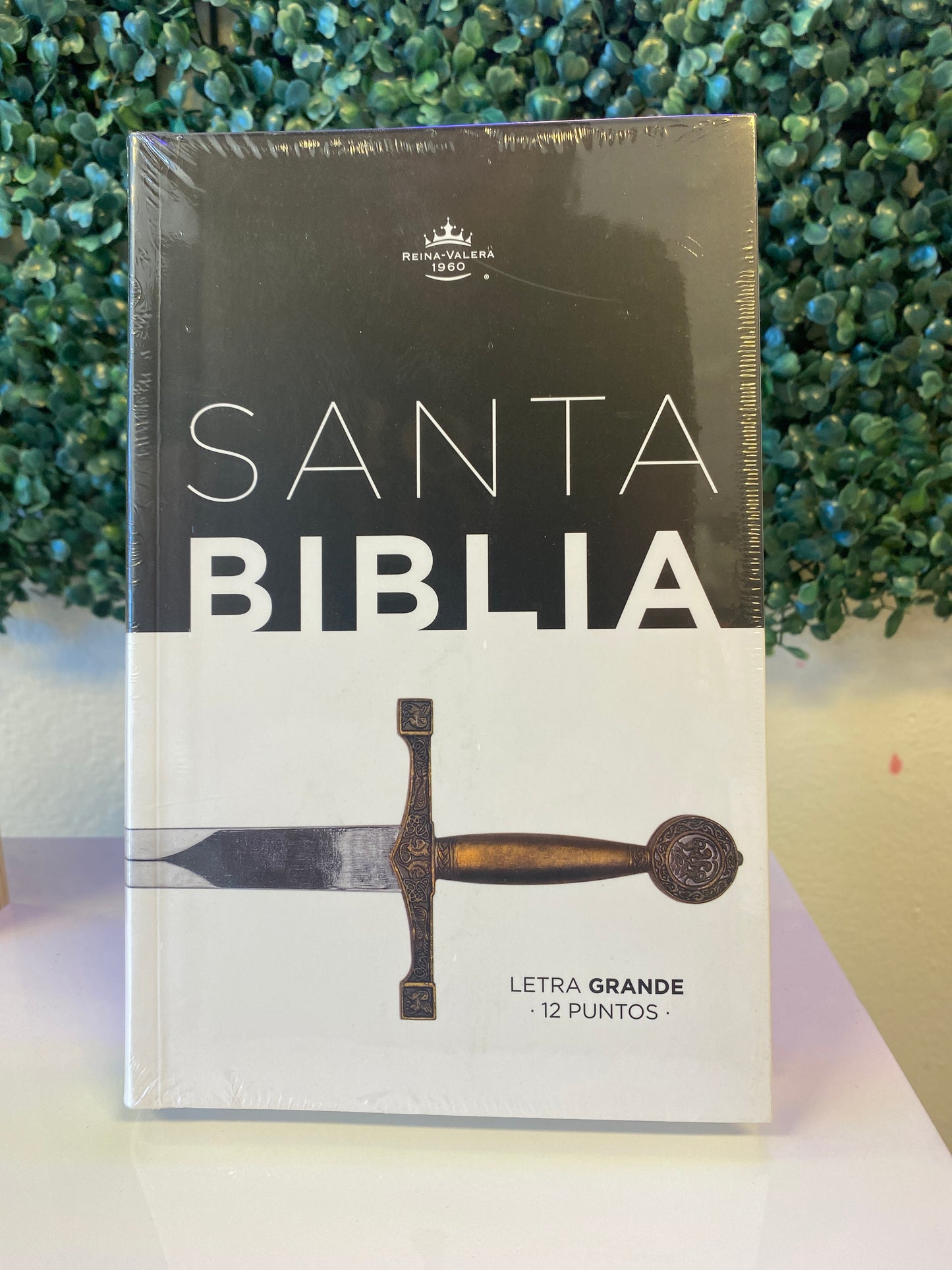 Santa Biblia Letra Grande 12 puntos