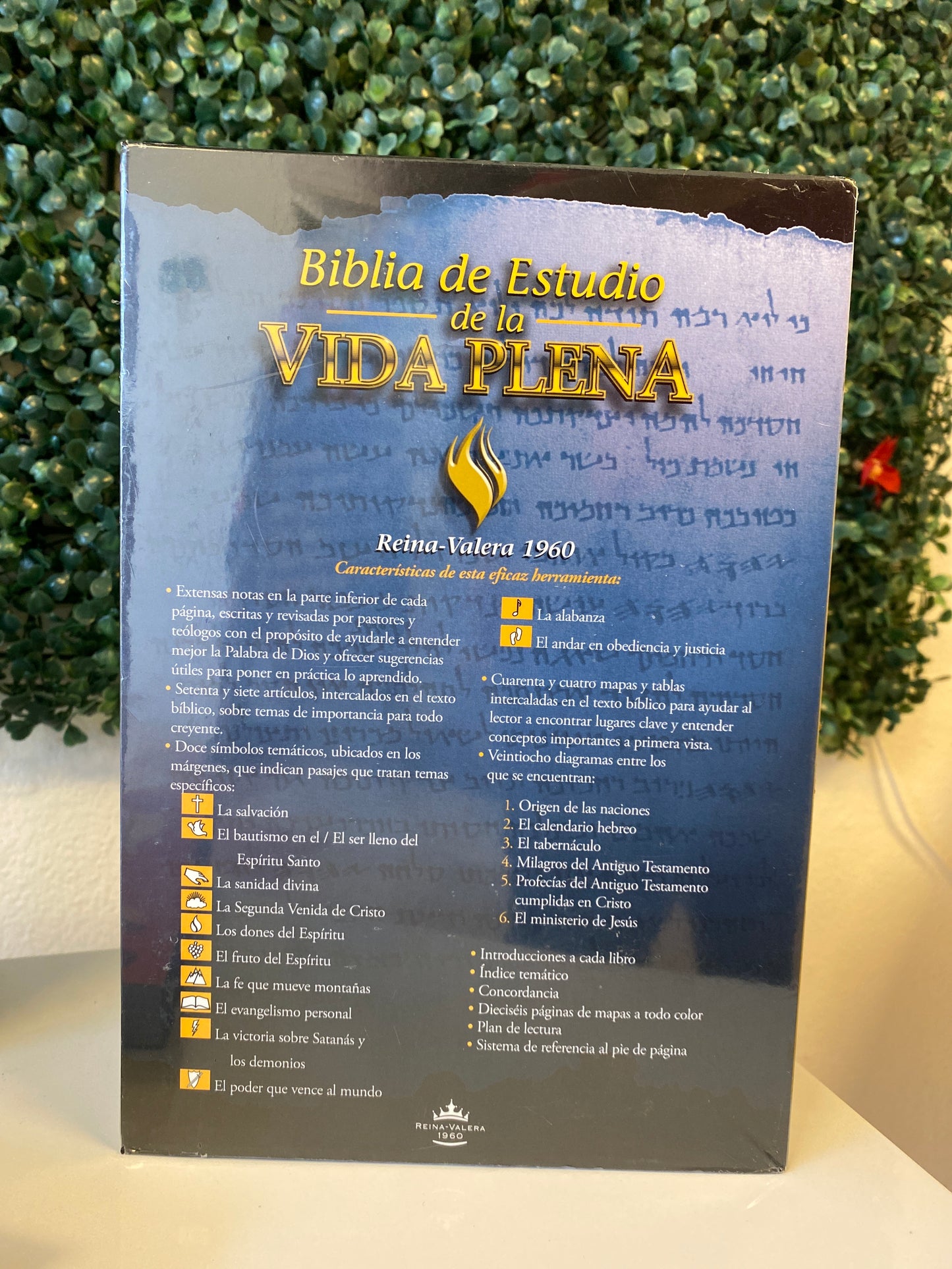 Biblia estudio de la Vida Plena