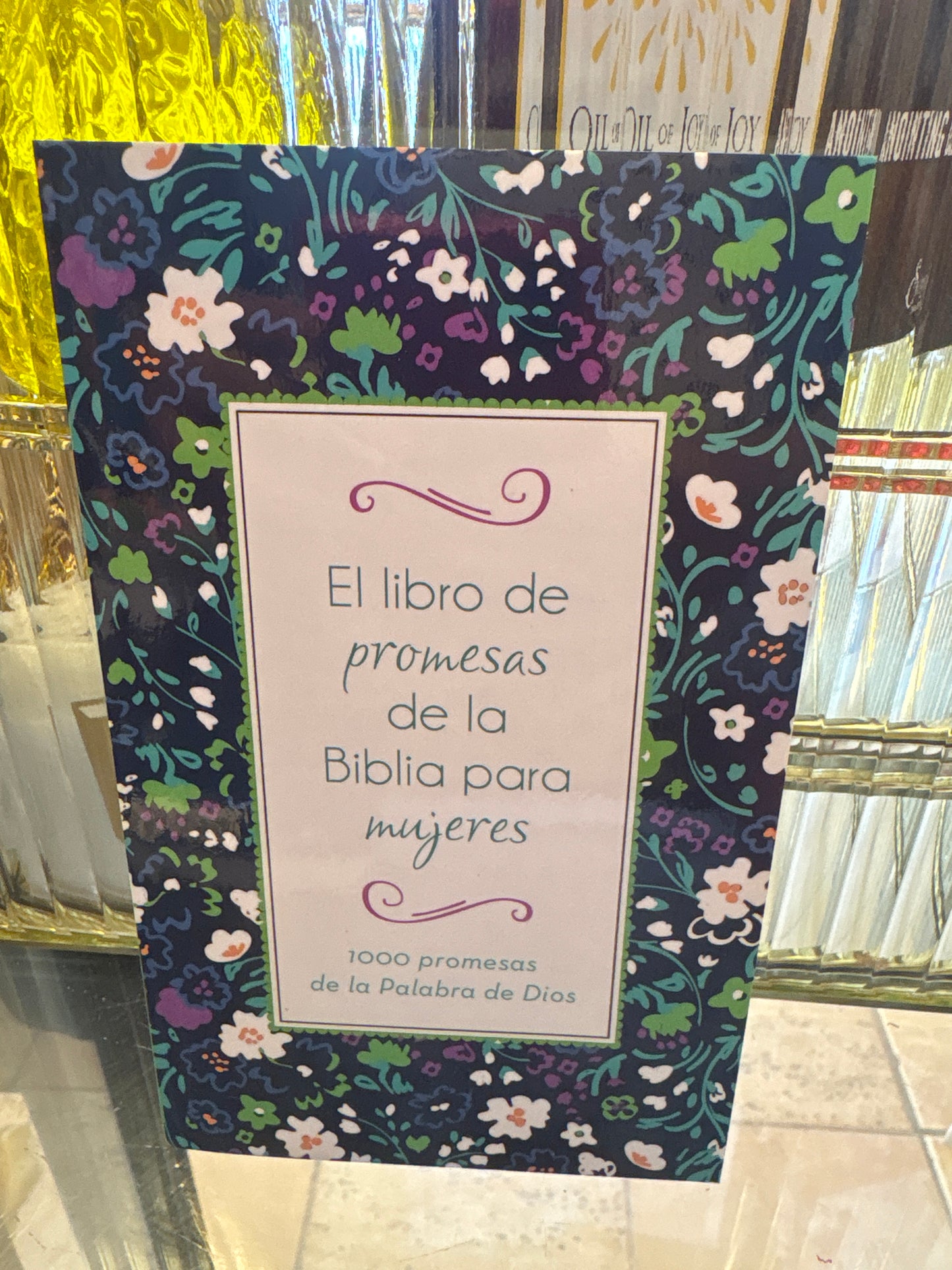 El libro de Promesas de la Biblia para Mujeres