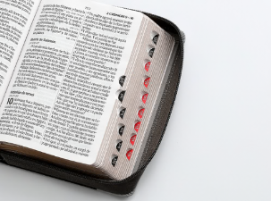 Biblia con silueta de León