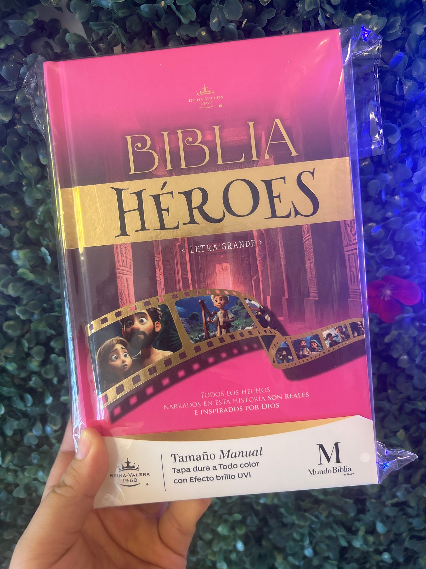 Biblia Héroes Letra Grande