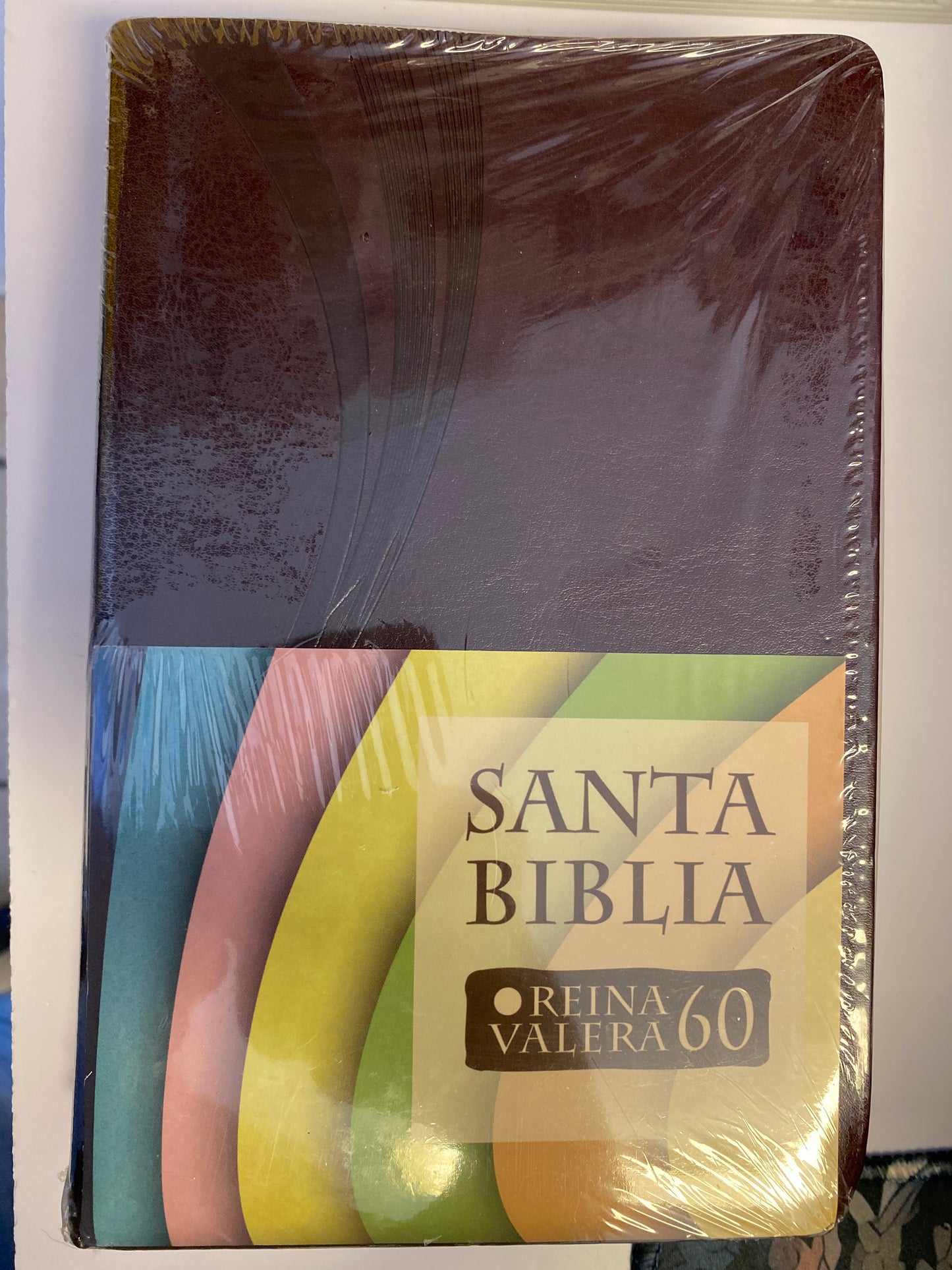 Santa Biblia Reina Valera 60