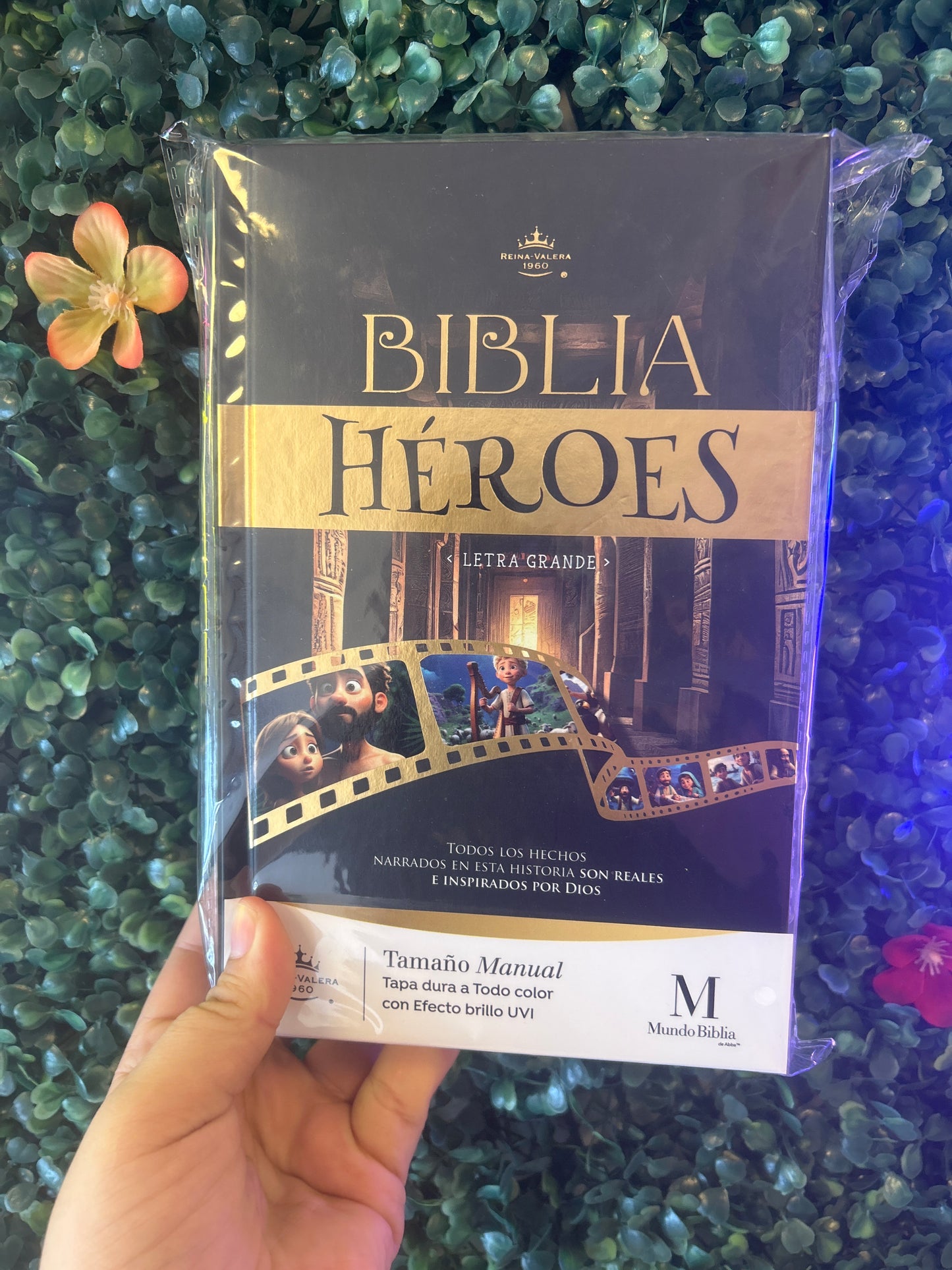 Biblia Héroes Letra Grande
