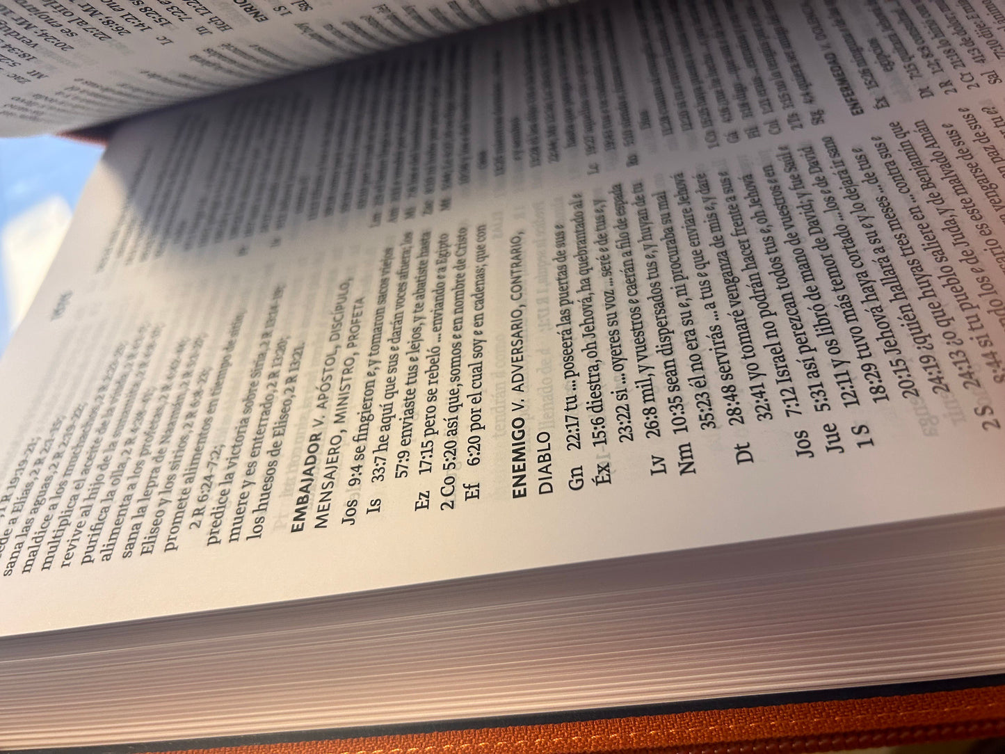 Santa Biblia Letra Súper Gigante