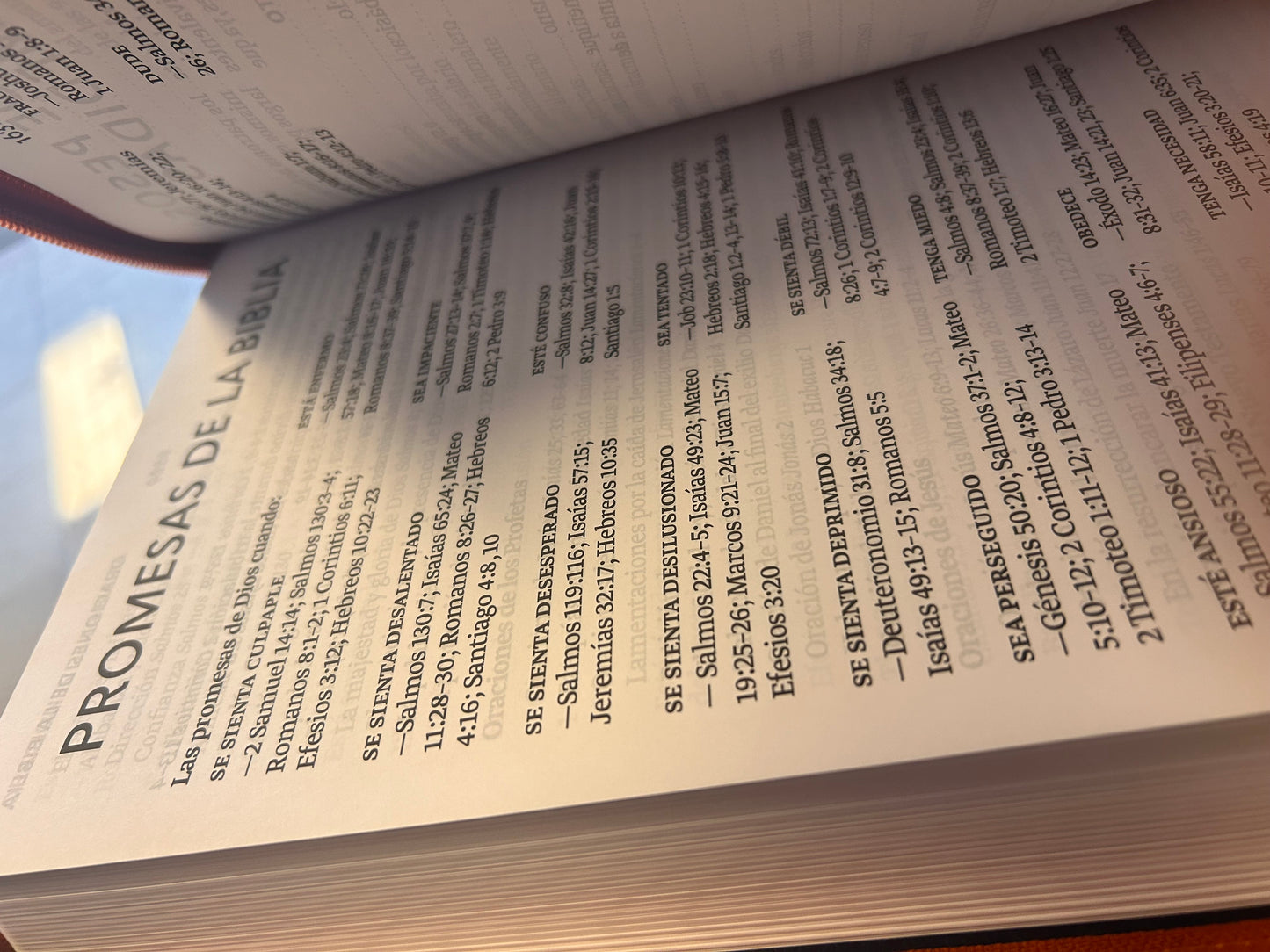 Santa Biblia Letra Súper Gigante
