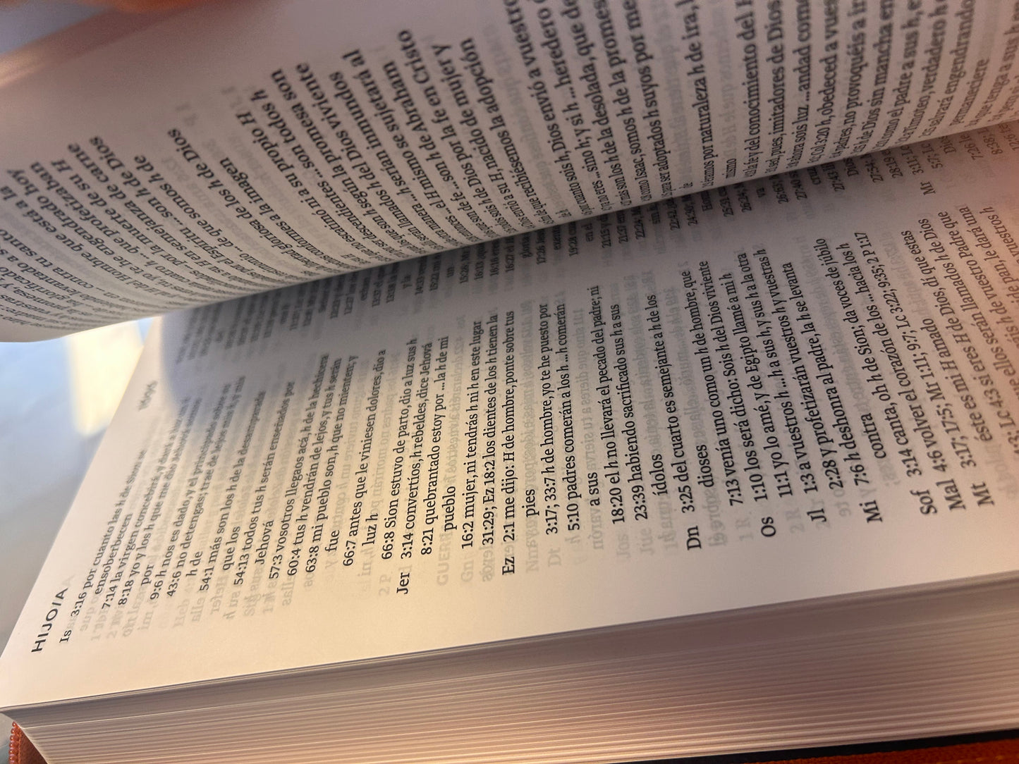 Santa Biblia Letra Súper Gigante
