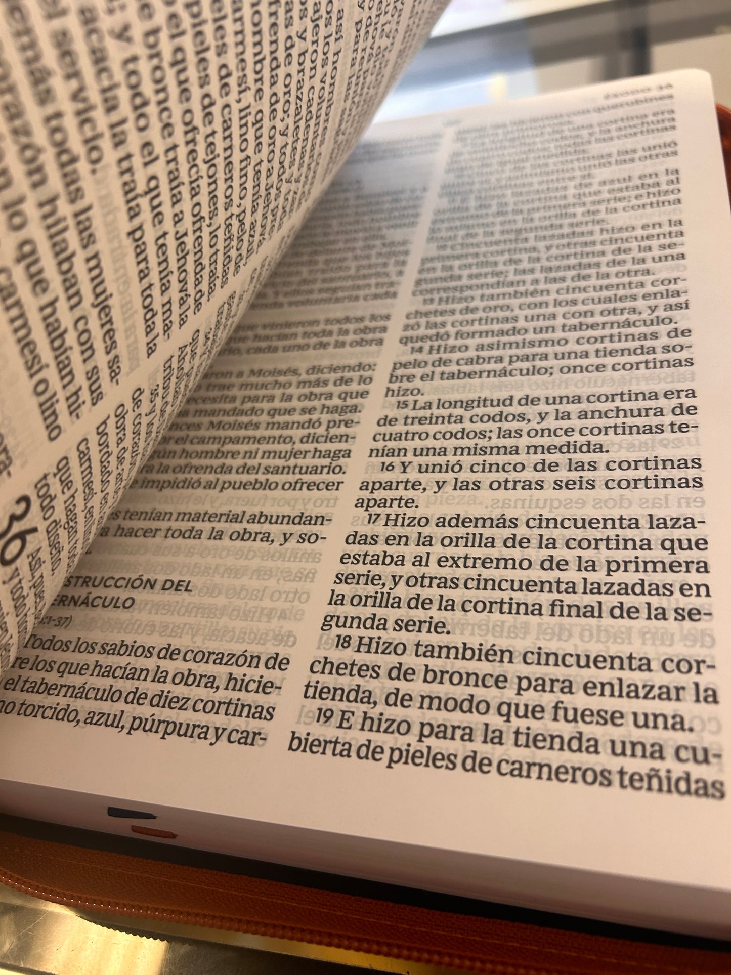 Santa Biblia Letra Súper Gigante