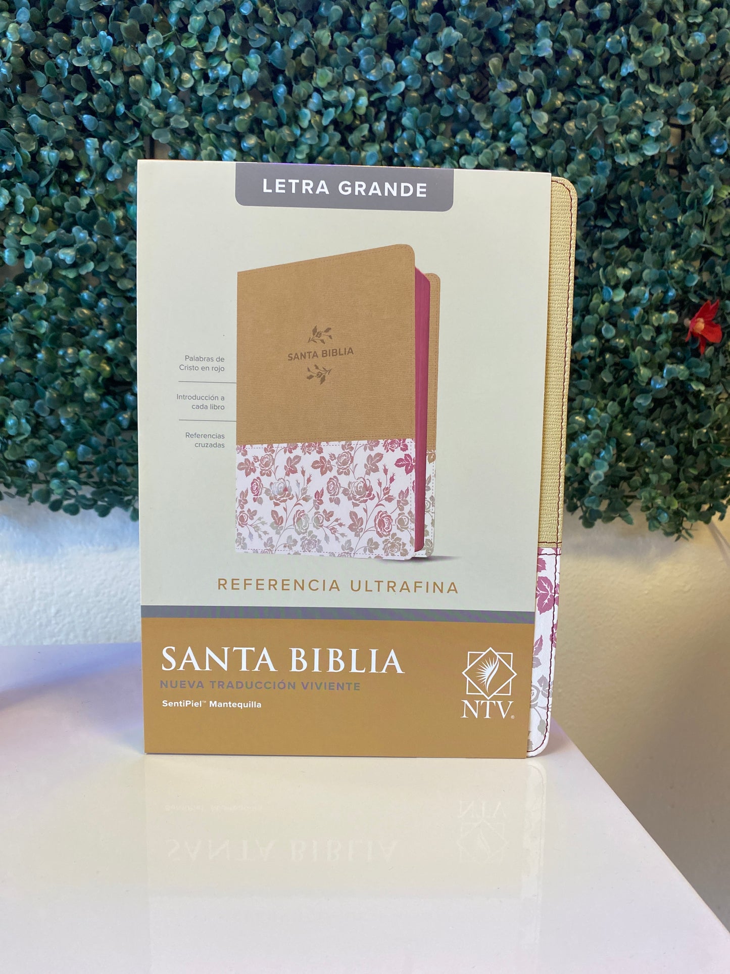 Santa Biblia Nueva Traducción Viviente