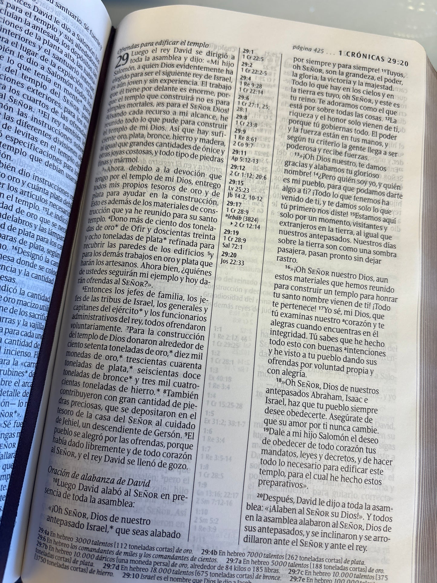 Biblia Nueva Traducción Viviente ultra fina
