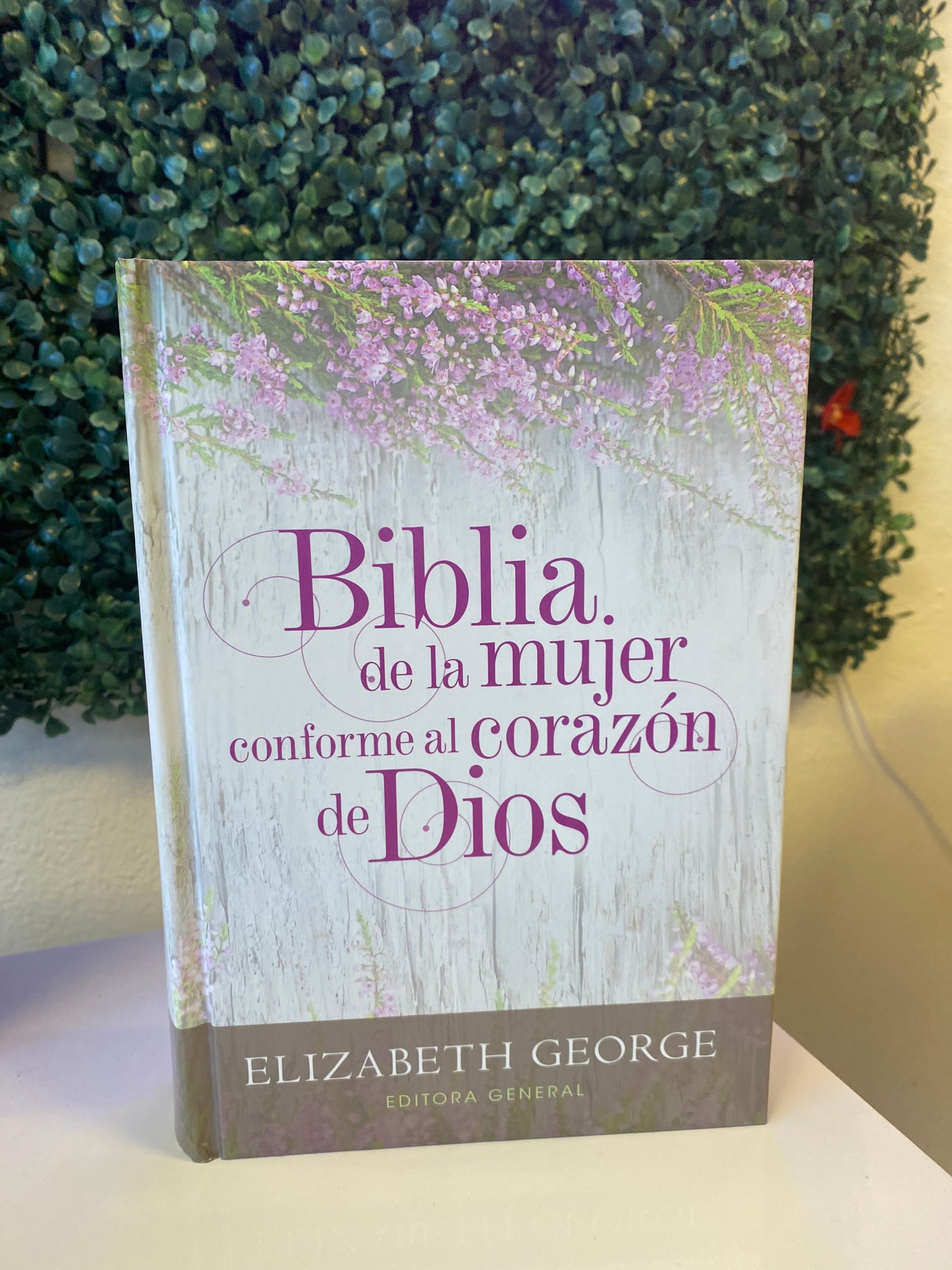 Biblia de la Mujer Conforme al Corazón de Dios
