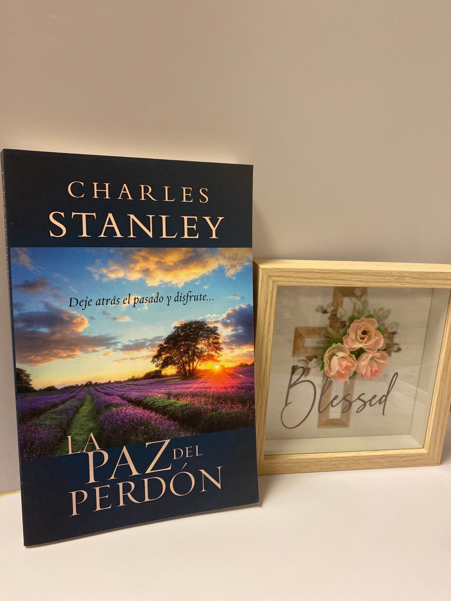 La Paz Del Perdón Charles Stanley
