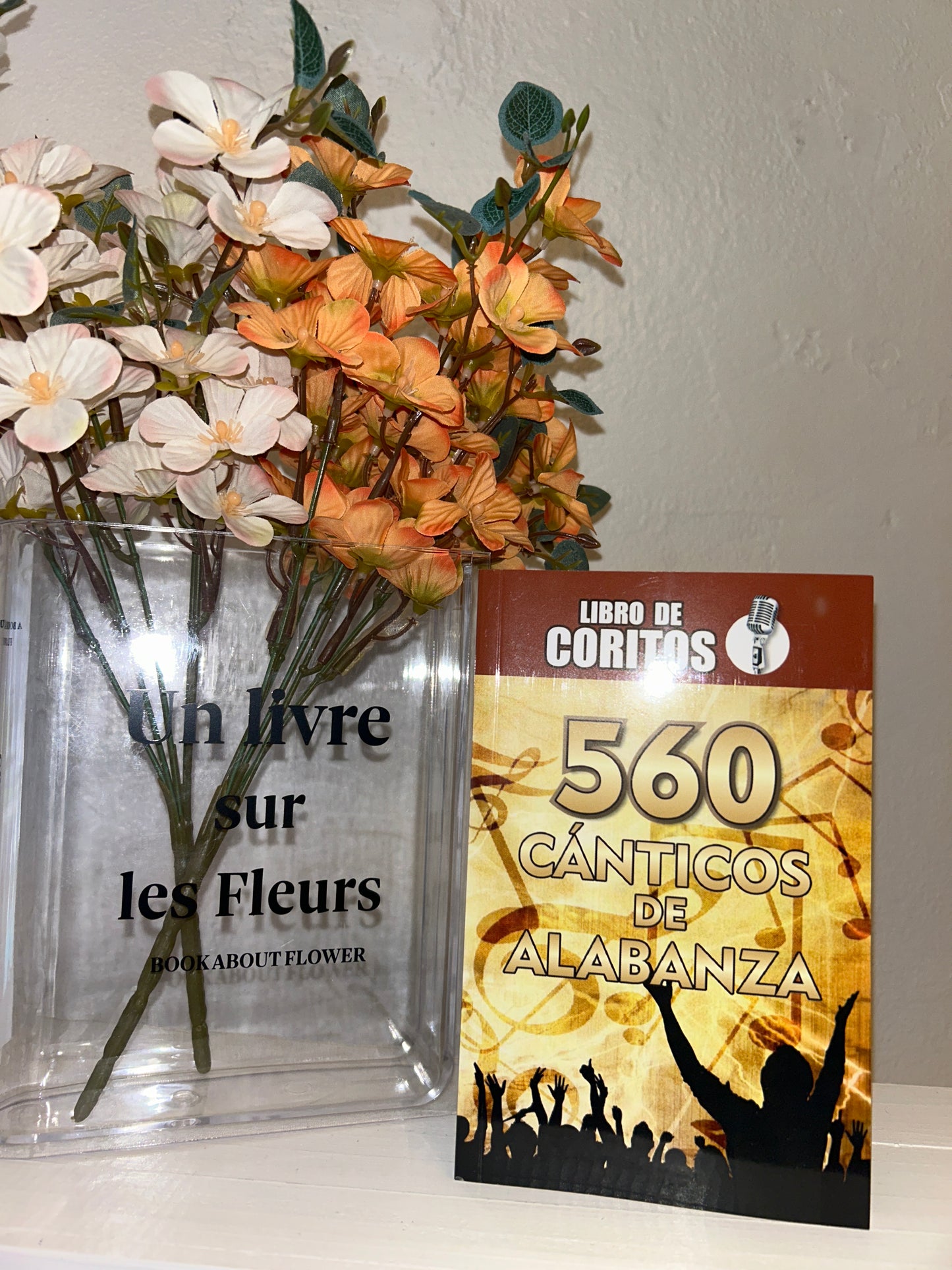 560 Cánticos de Alabanza