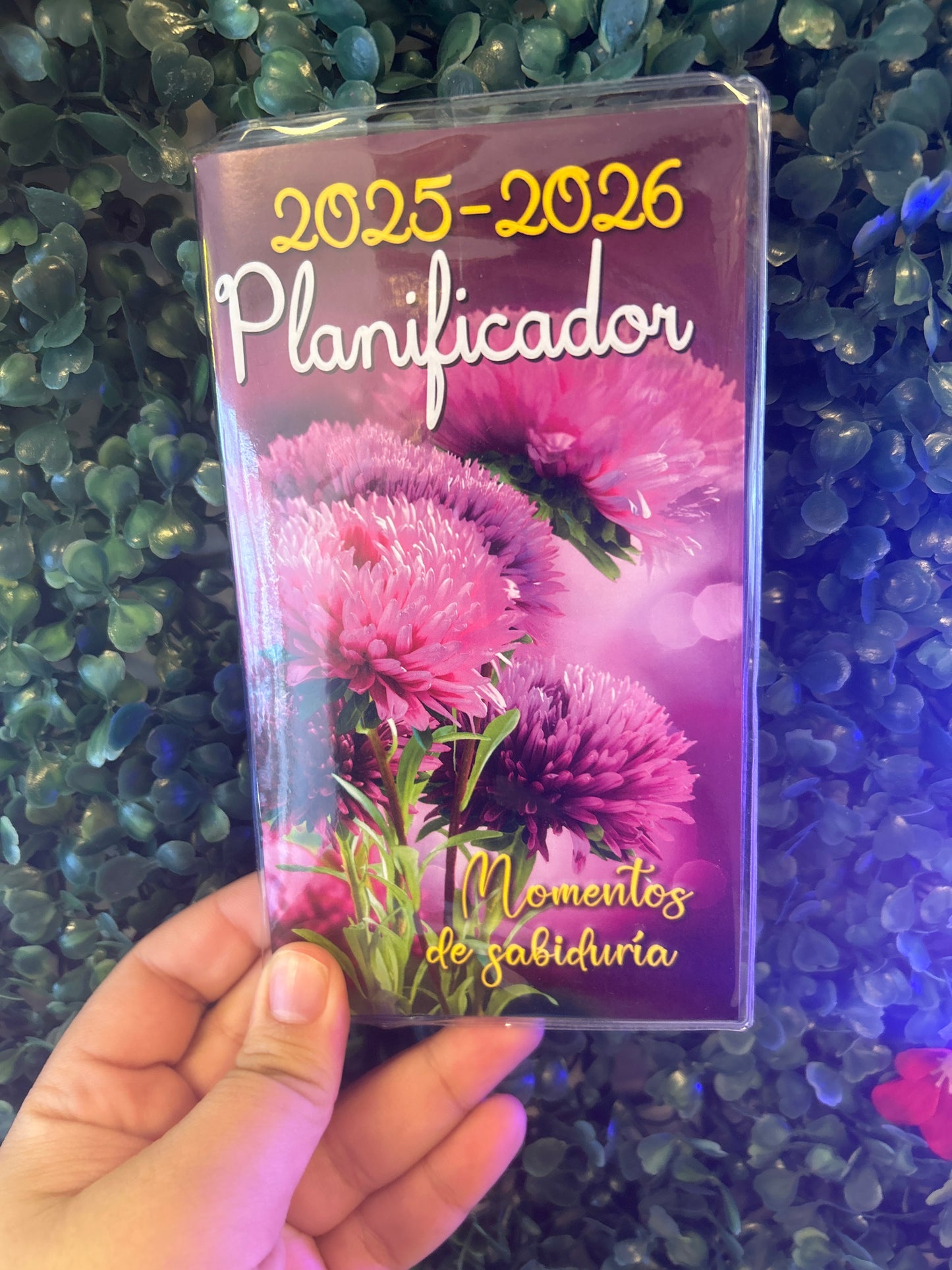 Planificador 2025-2026