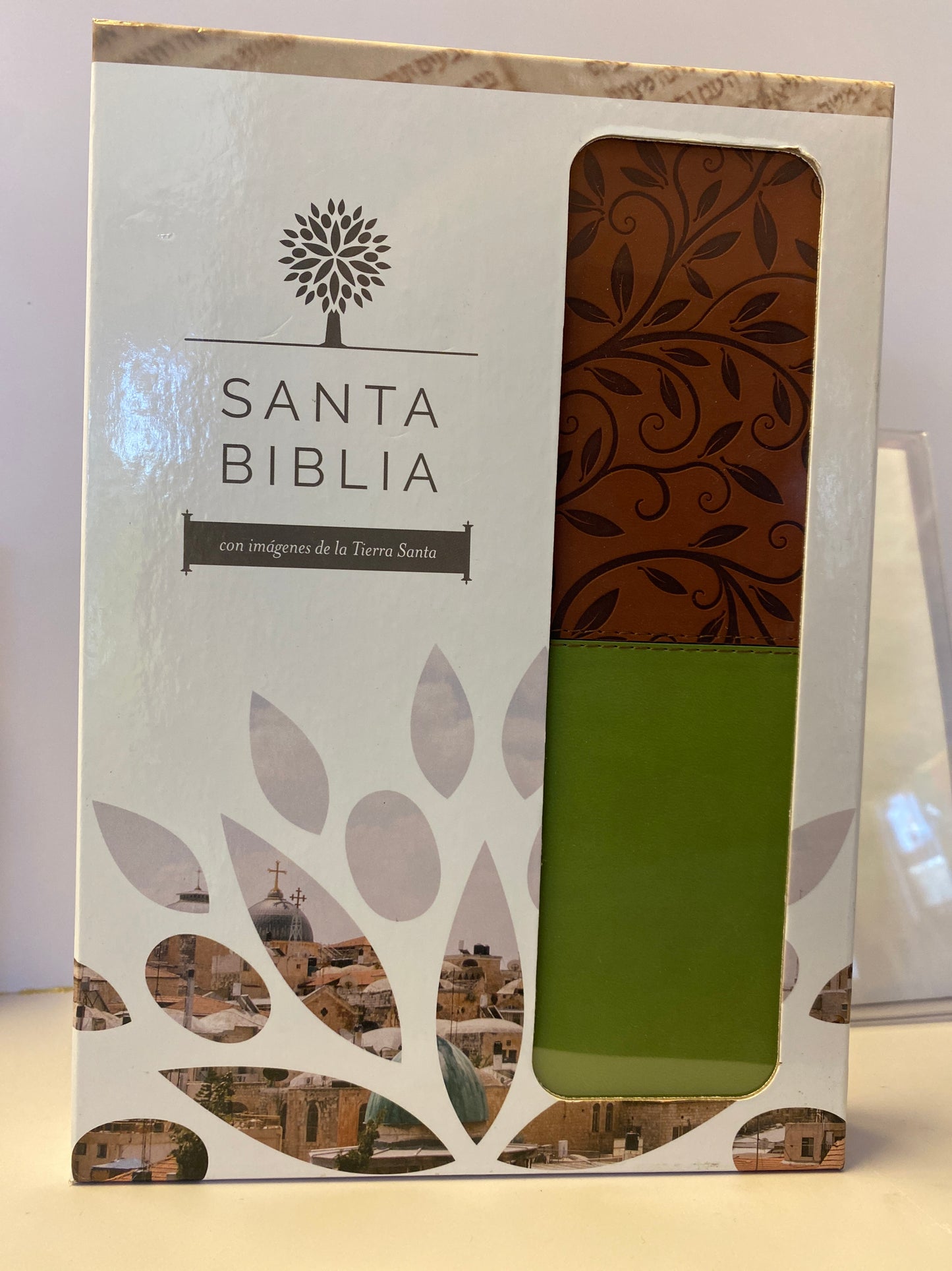 Santa Biblia Imágenes Tierra Santa