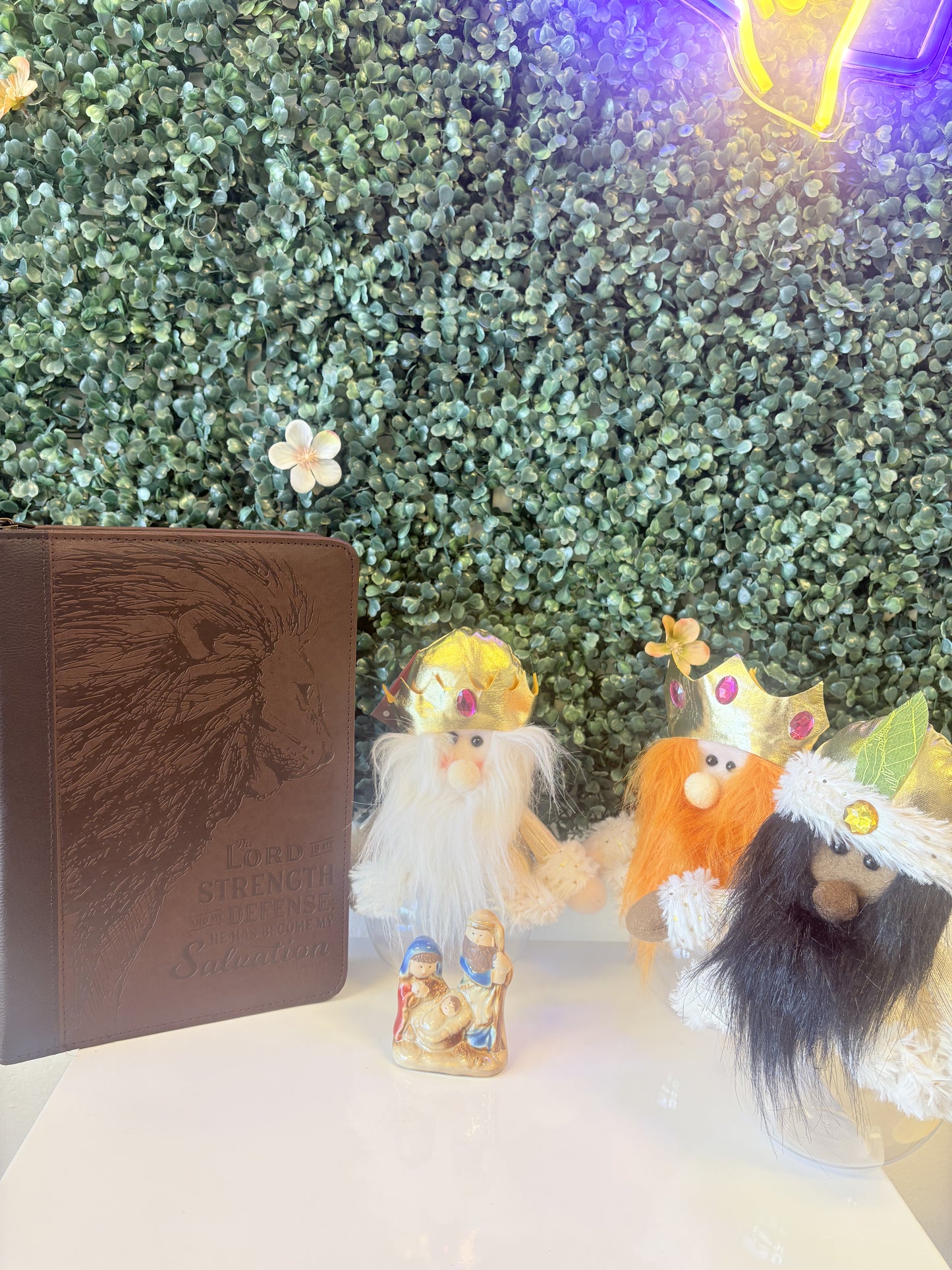 Cover de Biblia Large