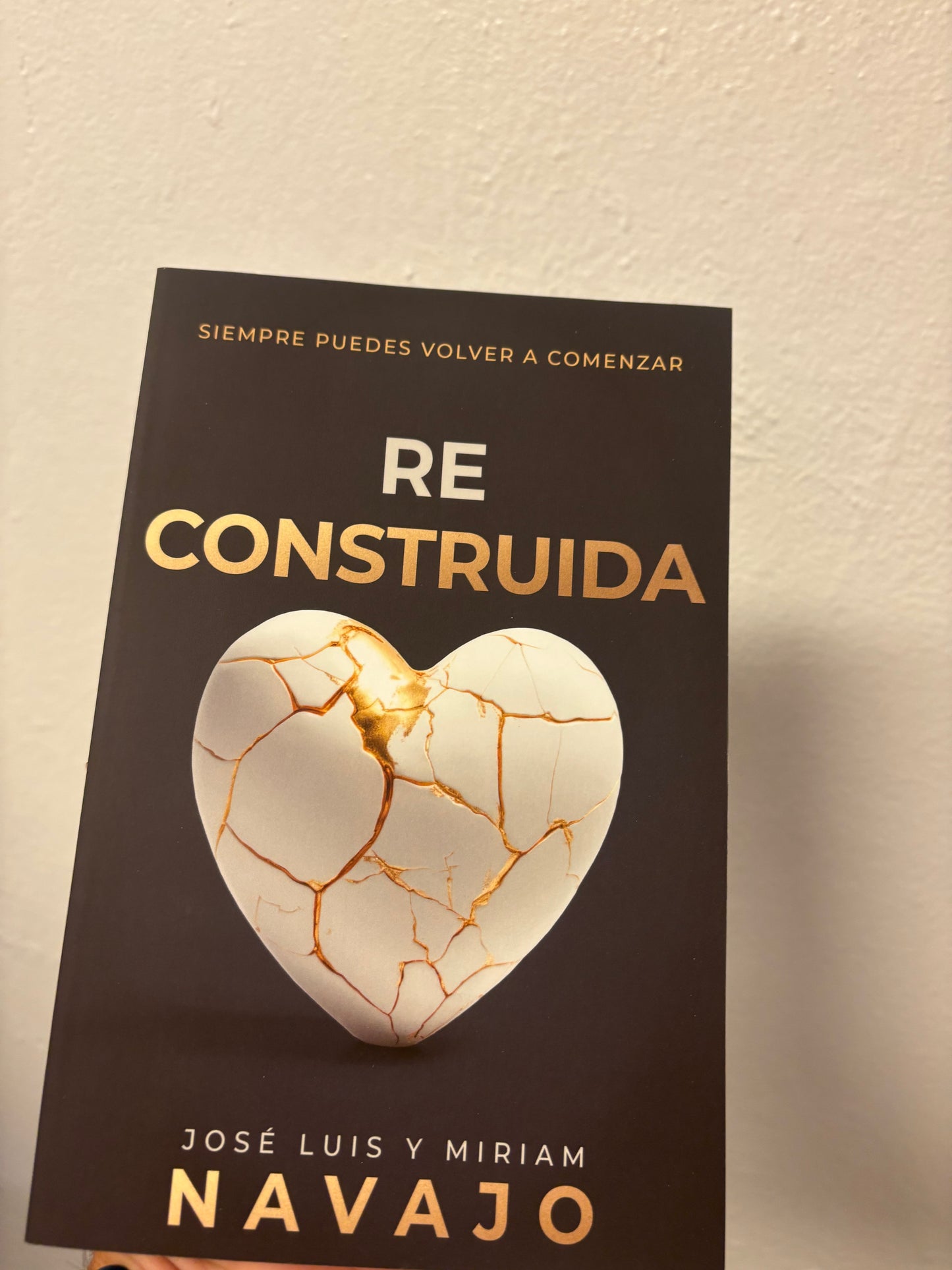 Re Construida José Luis Navajo