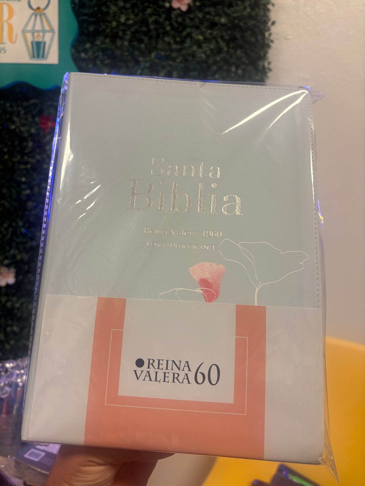 Santa Biblia