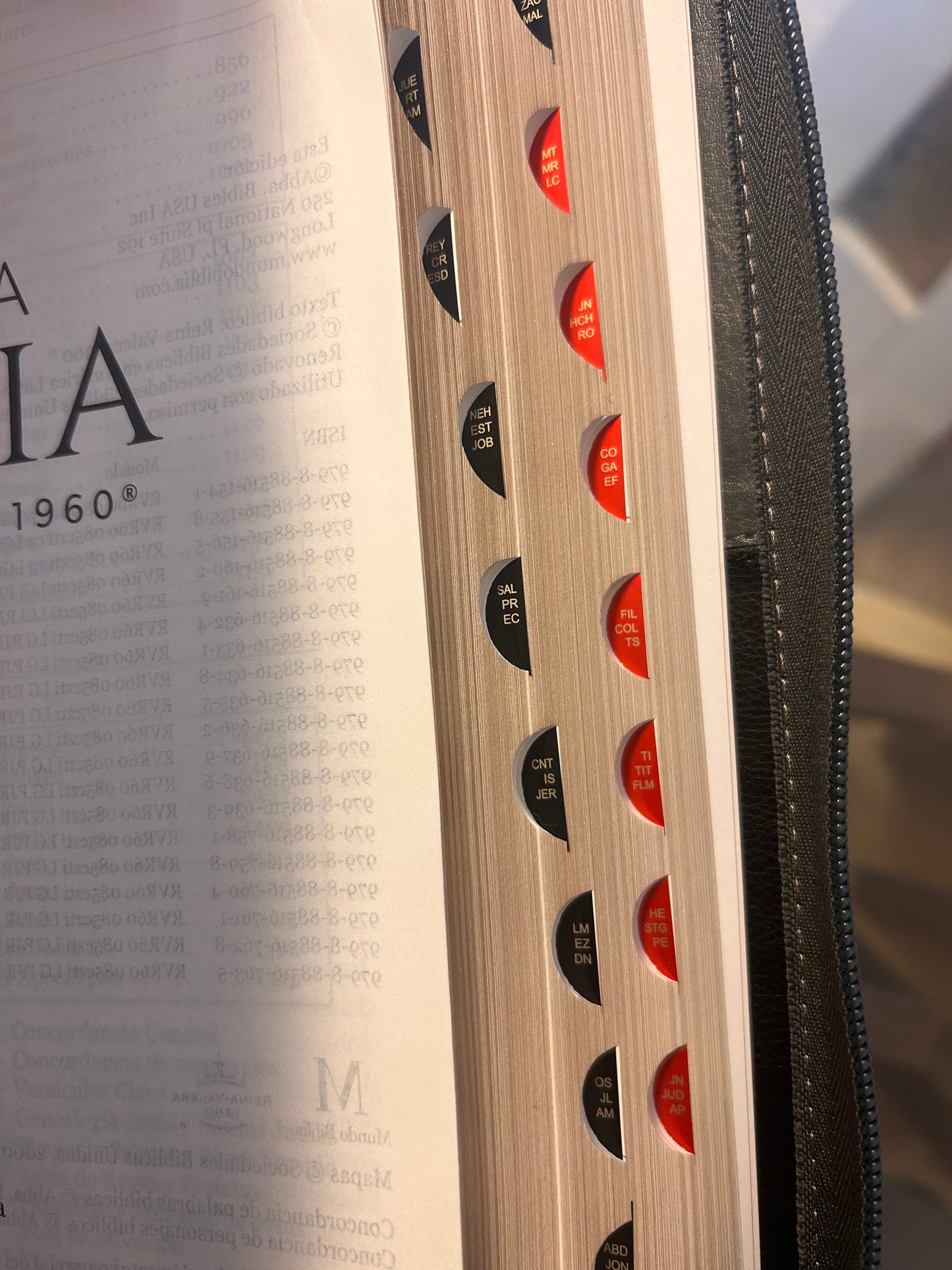 Santa Biblia RVR 1960 Letra Gigante 15 puntos