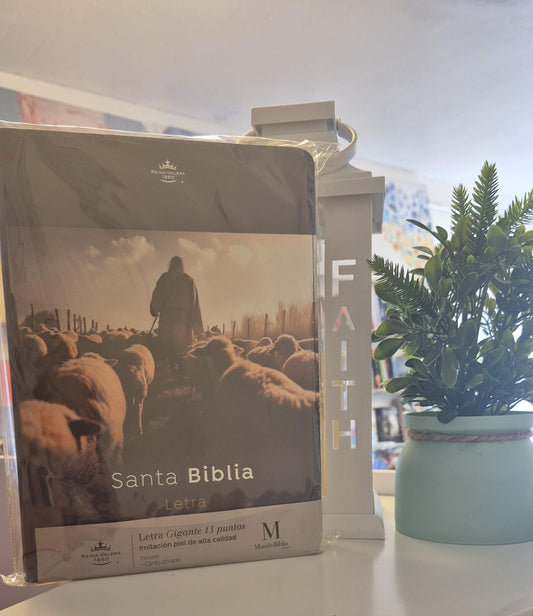 Santa Biblia