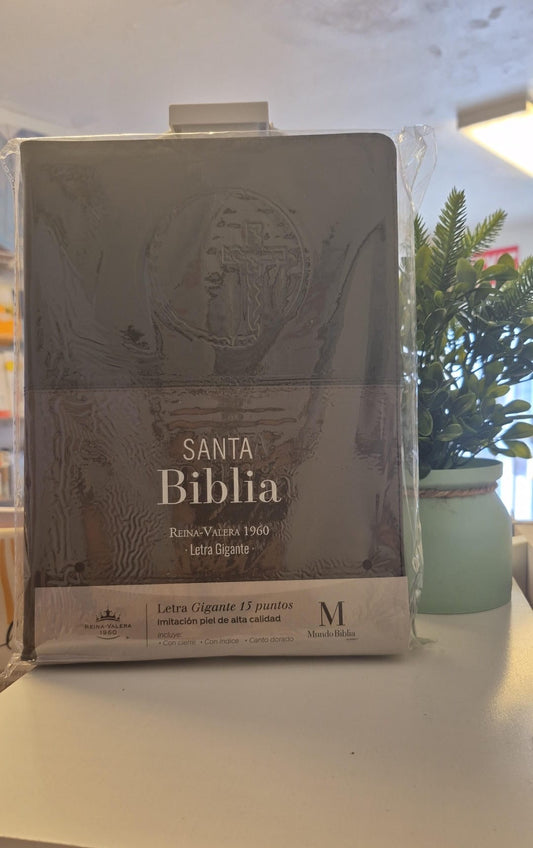 Santa Biblia Letra Gigante