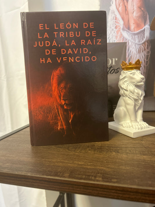Santa Biblia El león de la tribu de Judaísmo
