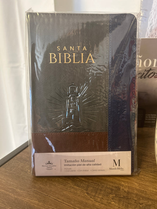 Santa Biblia RV 1960