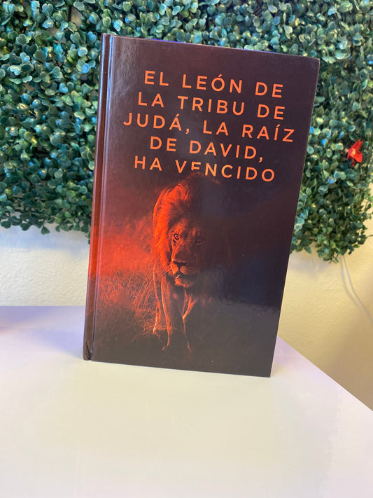 Santa Biblia  Letra exclusiva