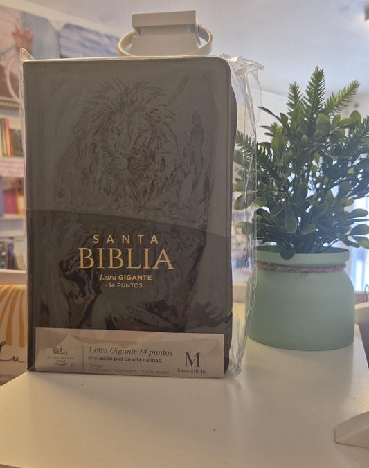 Santa Biblia Letra Gigante 14