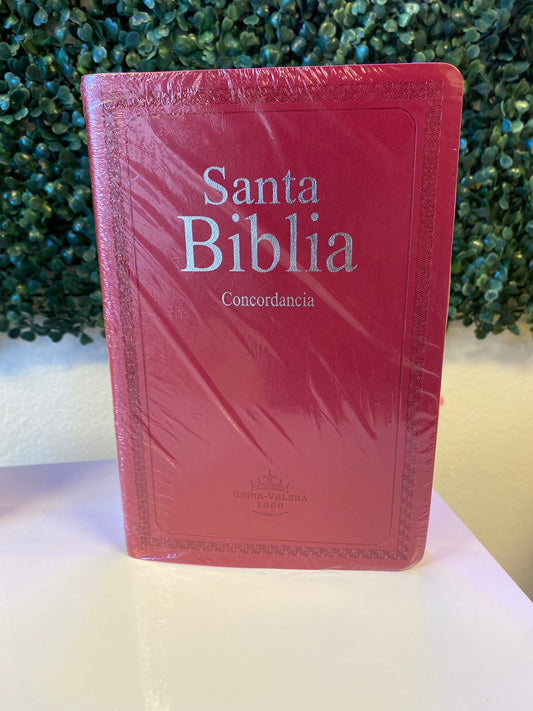 Santa Biblia Concordancia