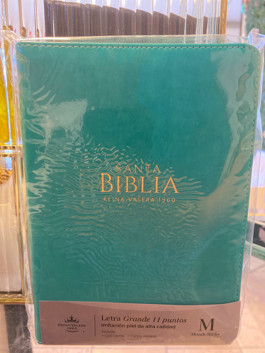 Santa Biblia